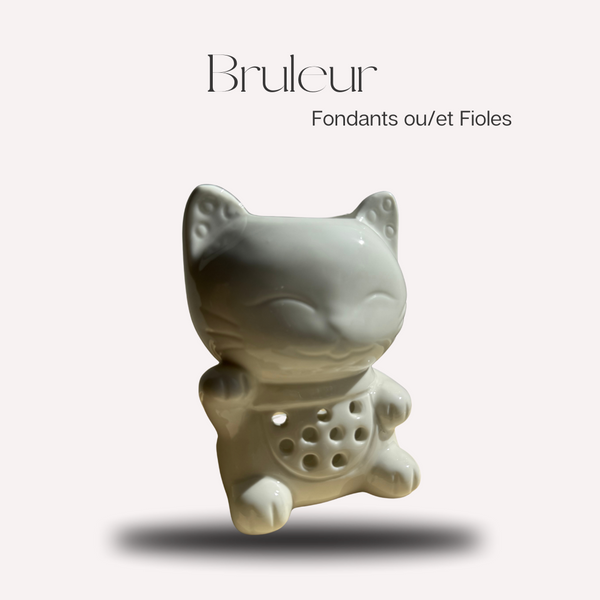 Bruleur Chat