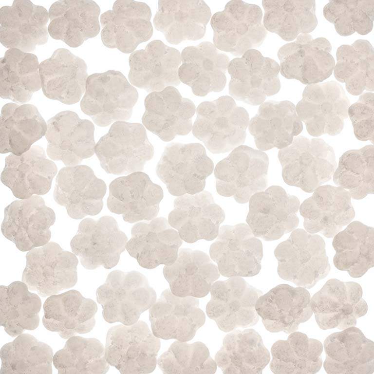 Les bonbons eucalyptus de la Maison VERDIER