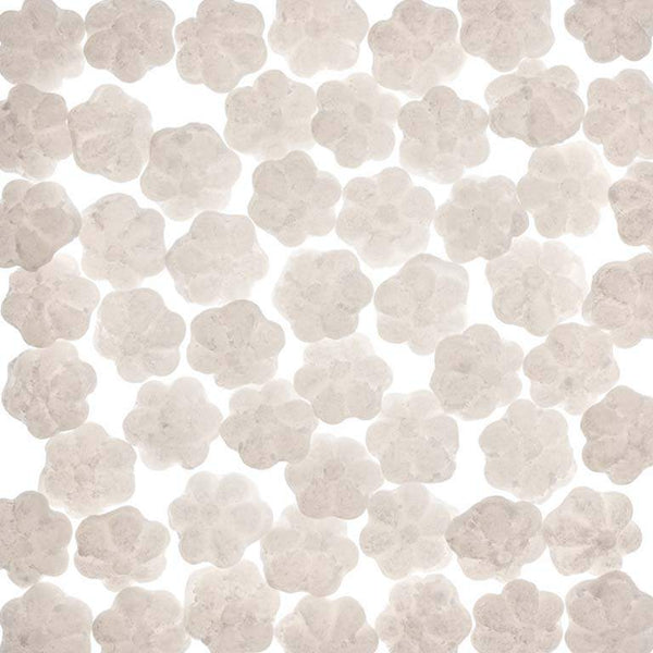 Les bonbons eucalyptus de la Maison VERDIER