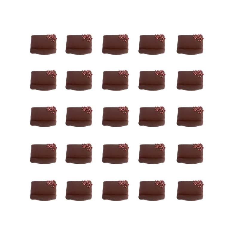 Rosalie au chocolat, purée de framboise sauvage enrobée de chocolat
