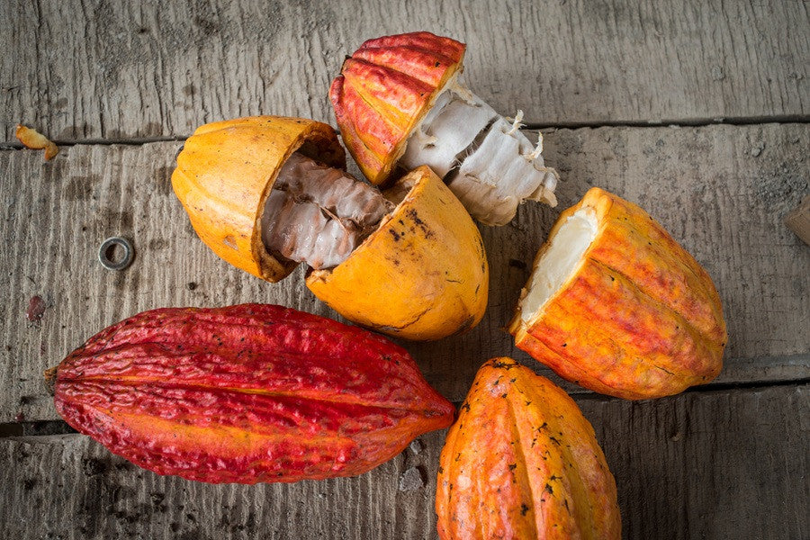 CACAO JUICE