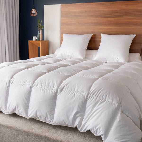 Couette Hiver canard