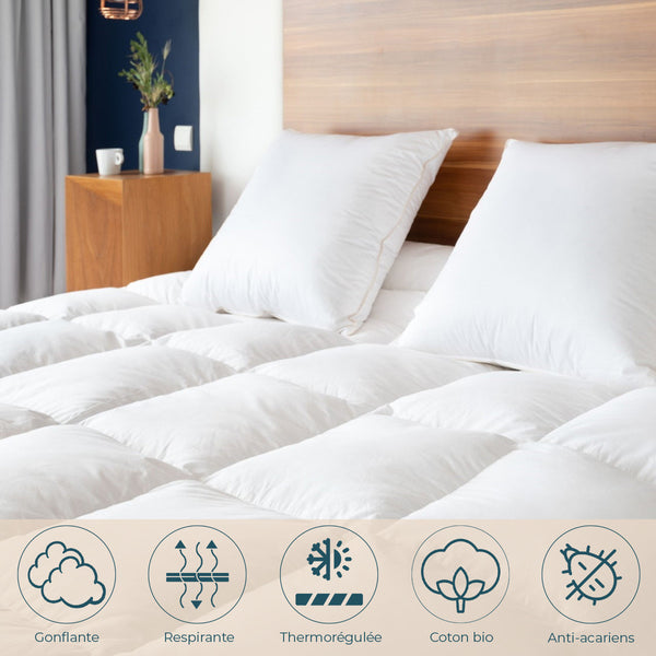 Couette Hiver canard
