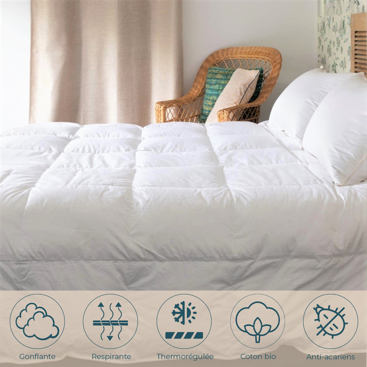Mid-season goose comforter