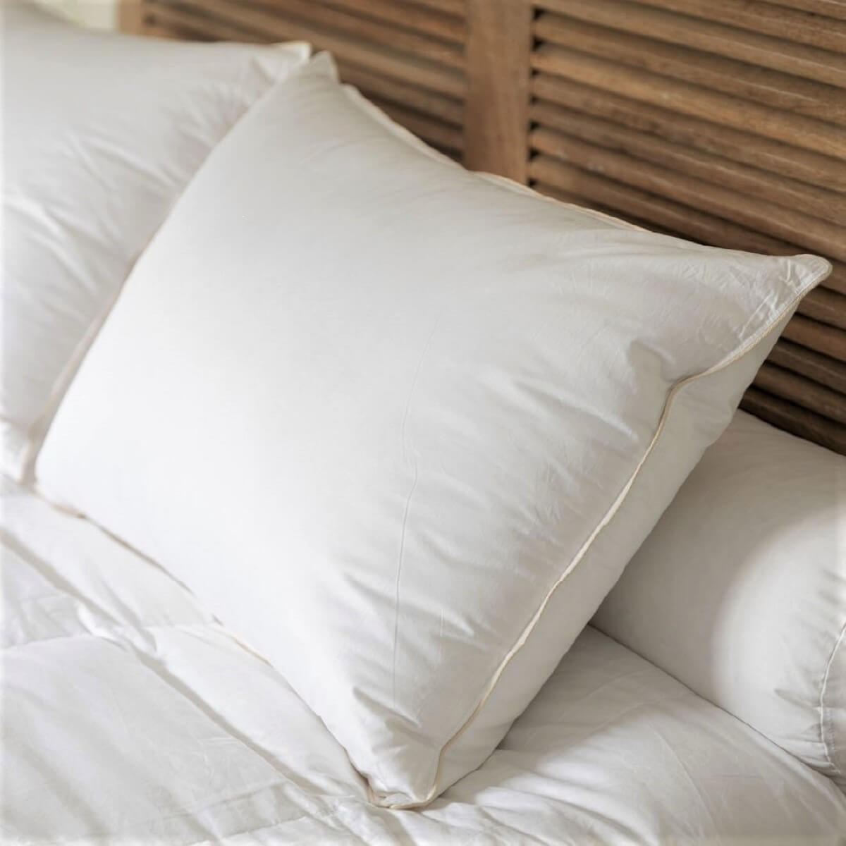 Organic and ecological 90% down pillow