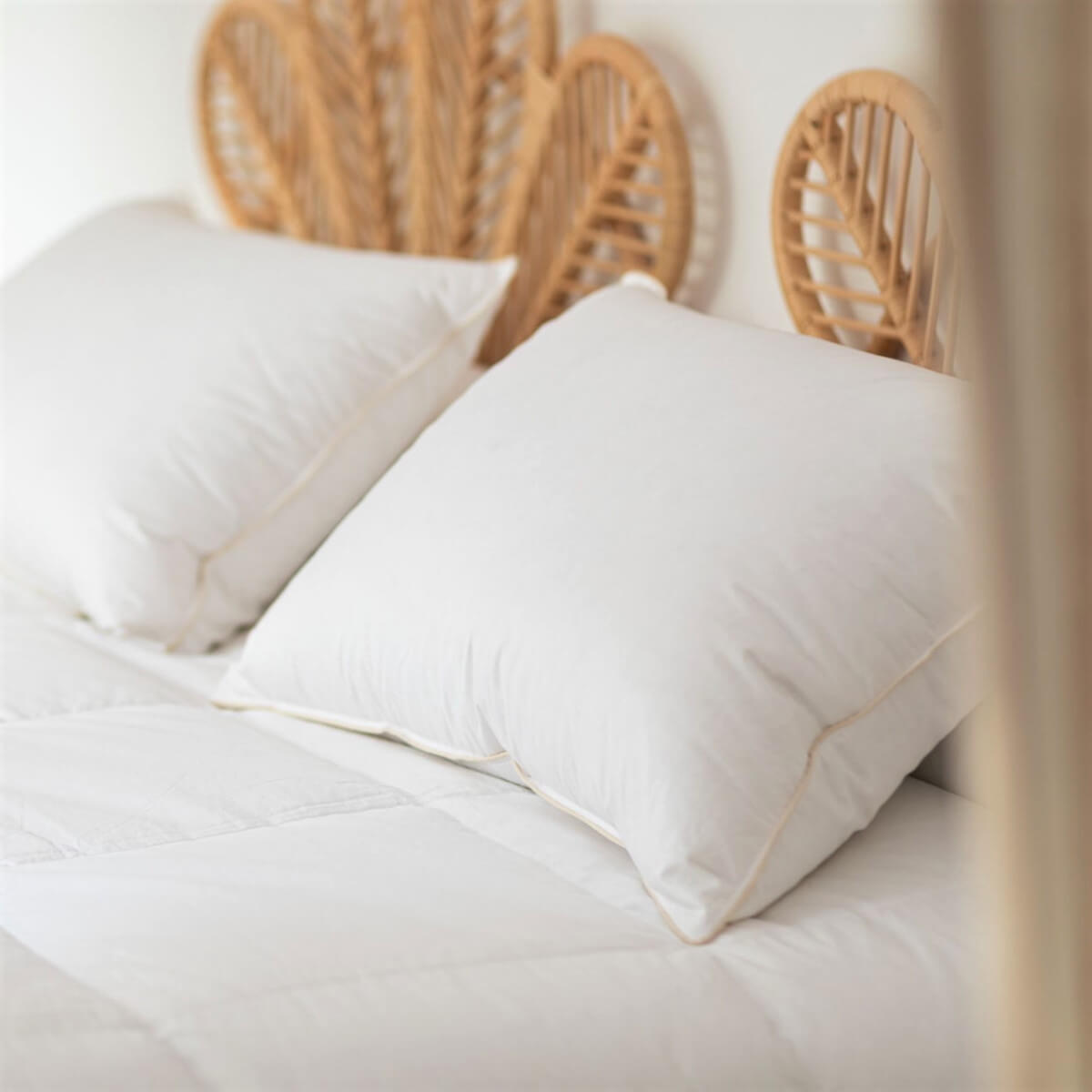 Organic and ecological 90% down pillow