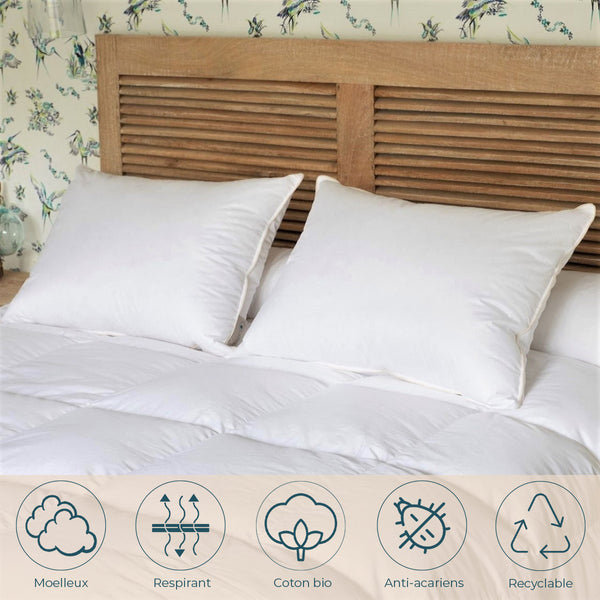 Organic and ecological 90% down pillow
