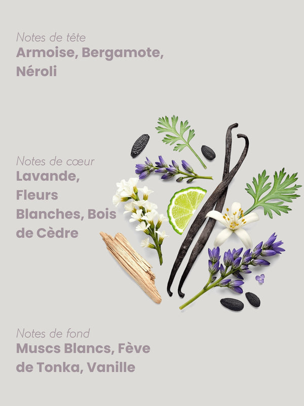 L'Ultime