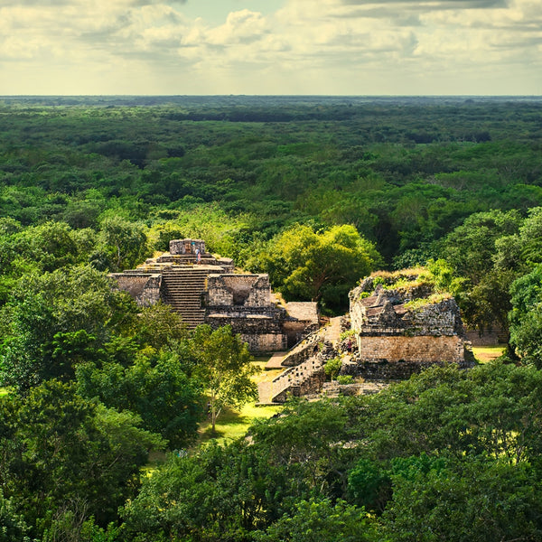 Huile de Beauté : Yucatan (Tonka-Boisé)