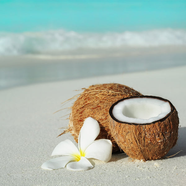 Huile de Beauté : Fleur de Soleil (Monoï-Coco)