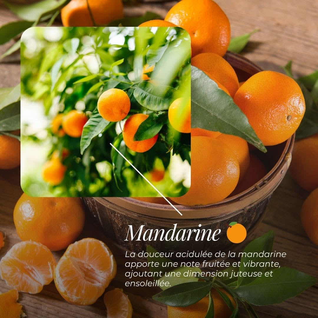 Savon Surgras "Camille" | Bergamote, Mandarine, Fruitée & Vanille