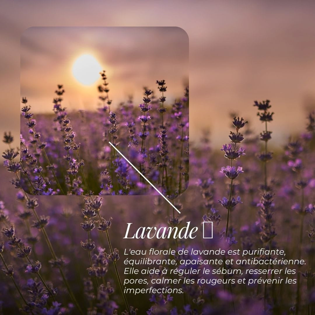 Eau Florale de Lavande - Apaisante & Purifiante