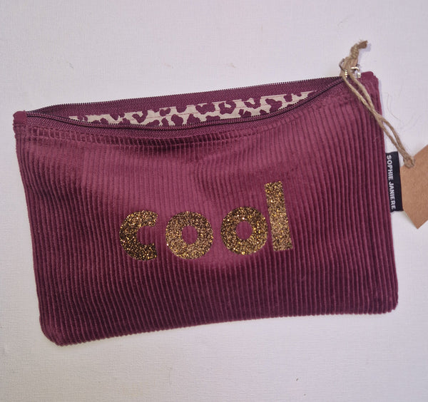 Trousse plate velours paillettes